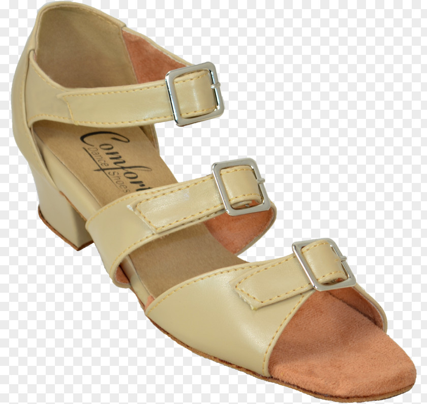 Sandal Slide Shoe Walking Hardware Pumps PNG