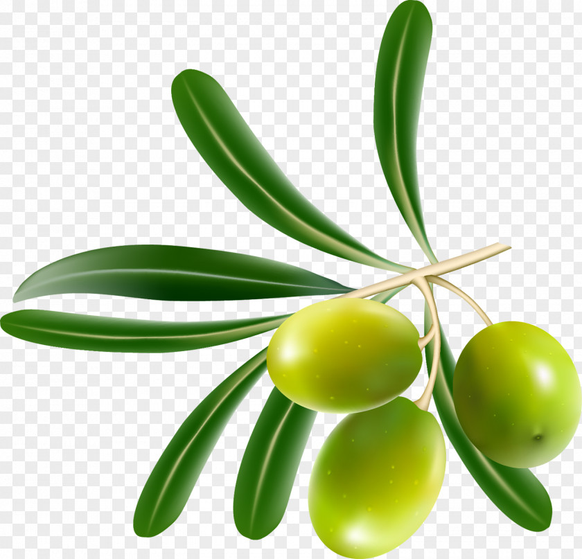 Tapenade Olive Leaf Food PNG