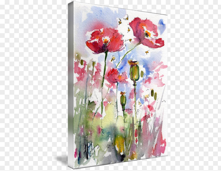 Watercolor Poppy Floral Design Painting Art PNG