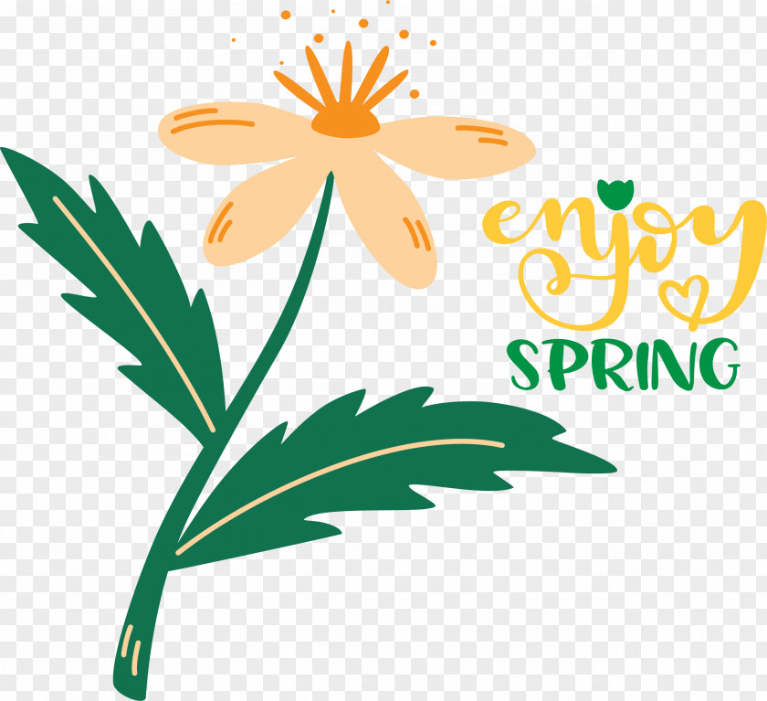 Floral Design PNG