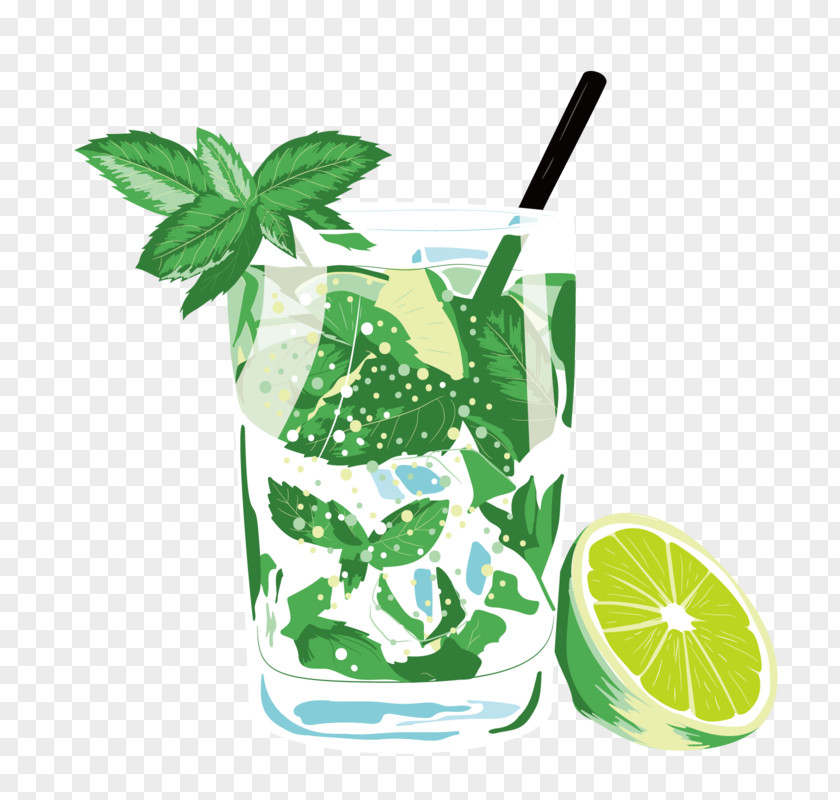Lemonade Cartoon Drink Mojito Juice Fizzy Drinks Cocktail PNG