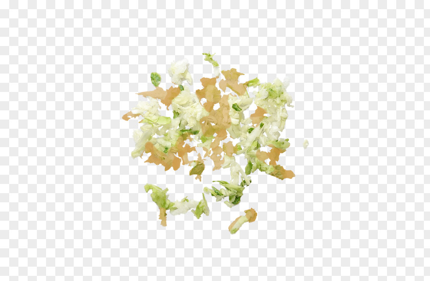 Cabbage Leaf Vegetable PNG