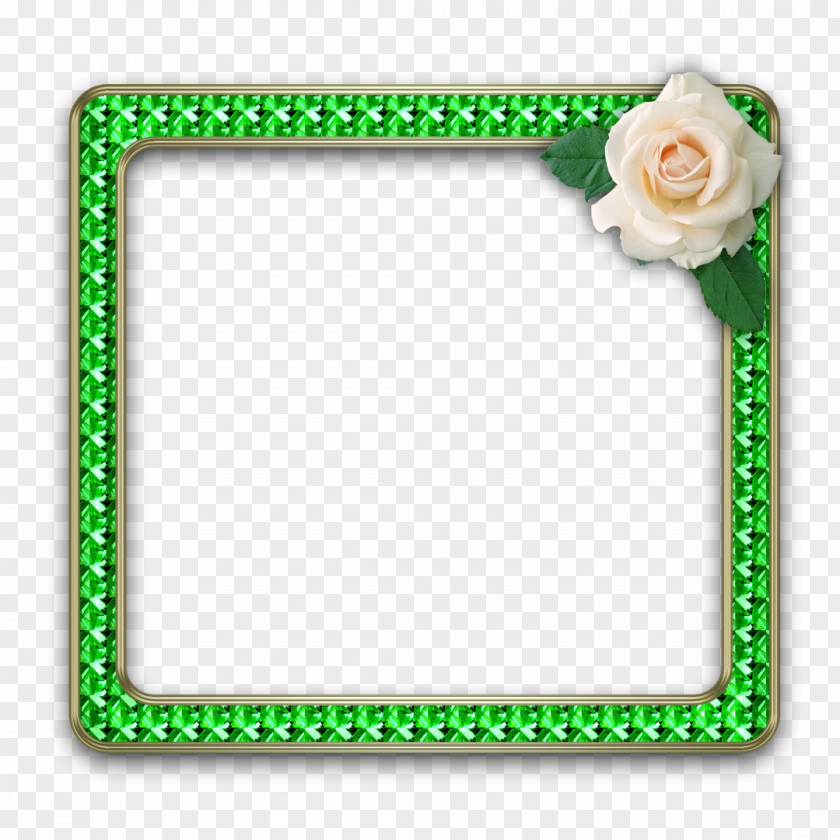 Chamomile Picture Frames Green Text LiveInternet Diary PNG