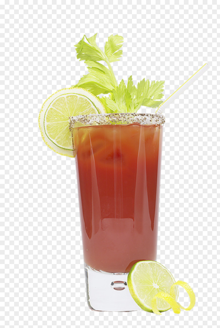 Drink Juice Cocktail Garnish Bay Breeze Rum Swizzle PNG