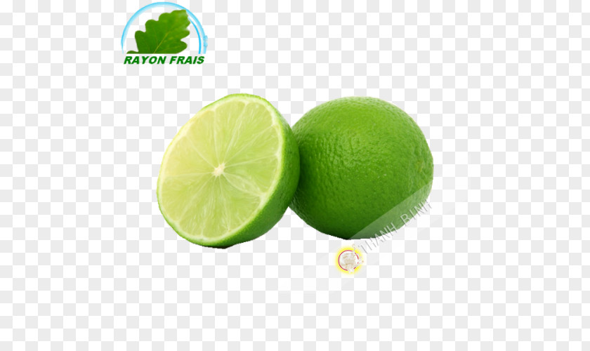 Lemon Key Lime Mojito PNG