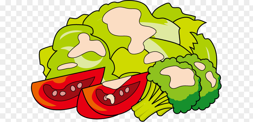Vegetable Illustration Salad Clip Art Food PNG