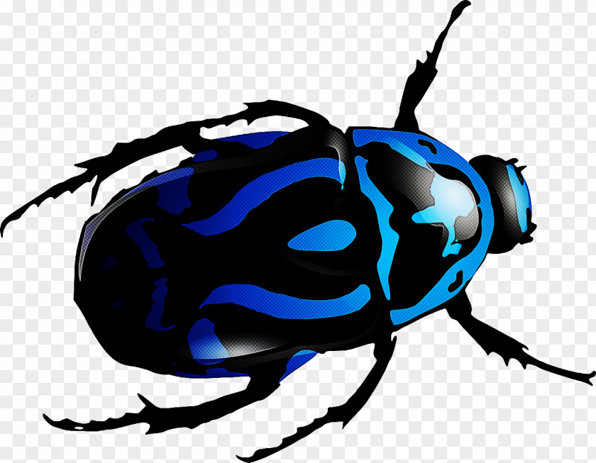 Beetles Scarabs Green June Beetle Dung Ladybird PNG