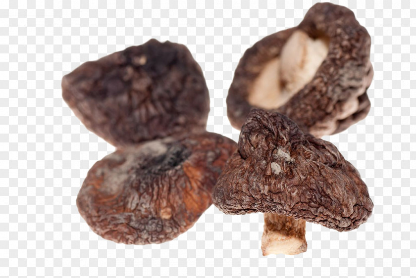 Brown Dry Mushrooms Asian Cuisine Shiitake Mushroom Fungus PNG