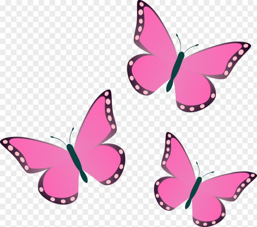 Butterfly Group Fluttershy DeviantArt Applejack Decal PNG