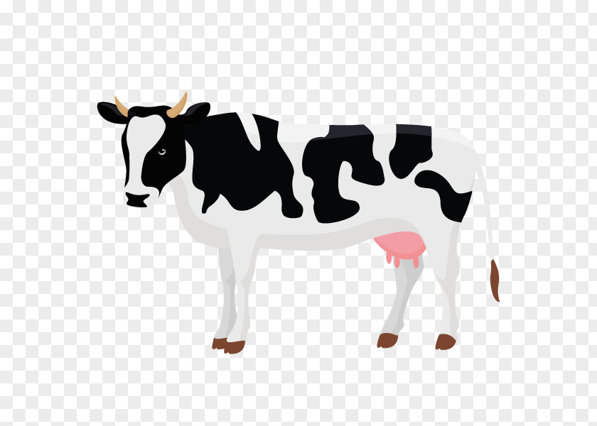Cow Hd Dairy Cattle Calf Vector Graphics Illustration Clip Art PNG