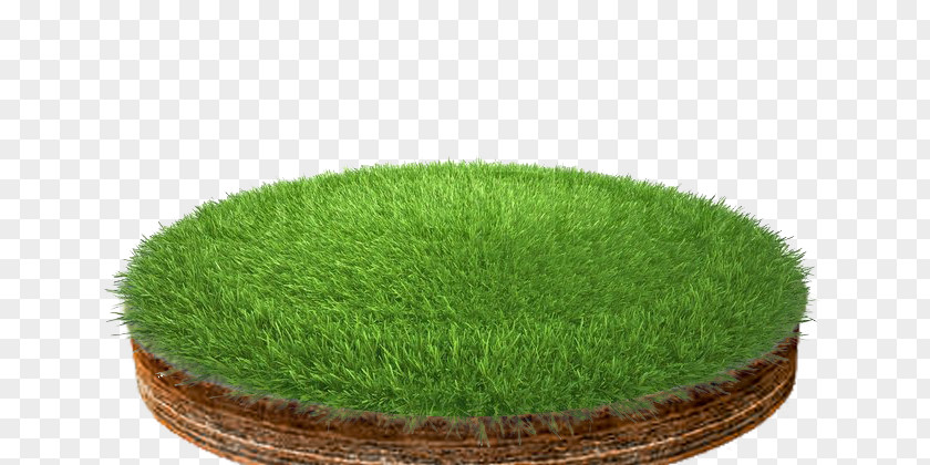 Grass Lawn Image Editing Layers PNG