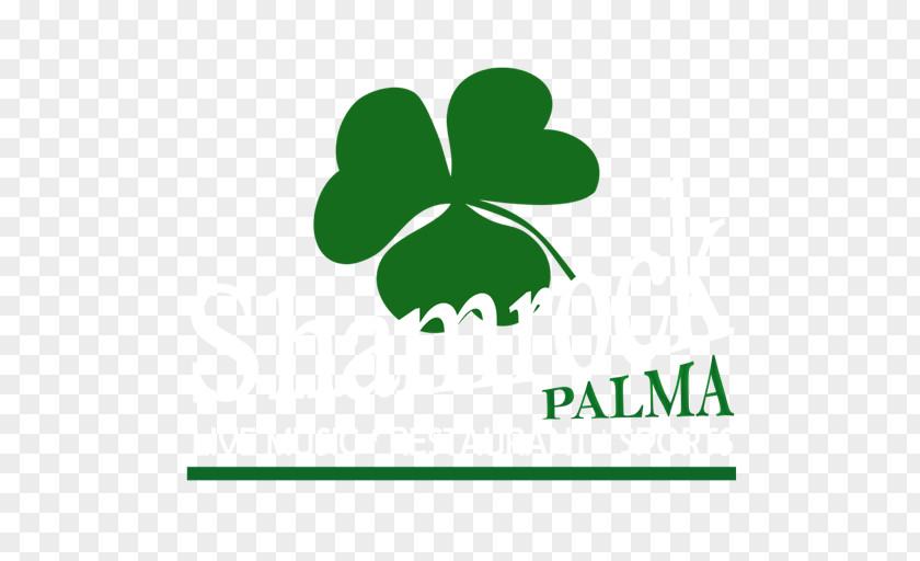 Shamrock Palma Mallorca Restaurant Bar Irish Pub Concert PNG