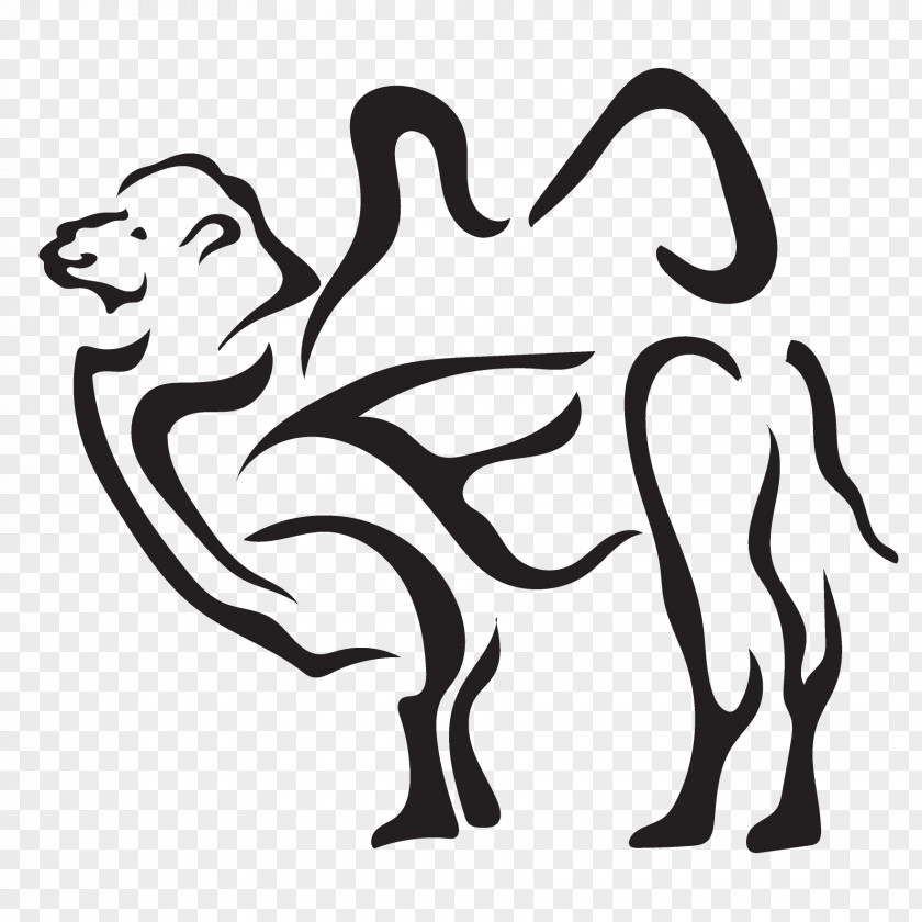 Stencil Camelid Monkey Cartoon PNG