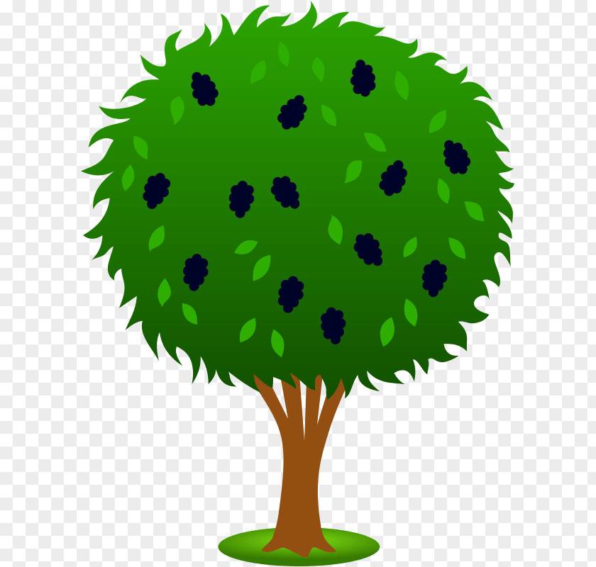 Apple Clip Art Image Tree Malus Sylvestris PNG