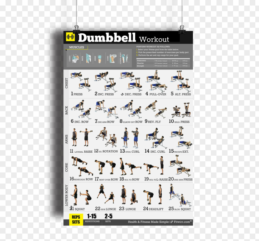 Dumbbell Bodyweight Exercise Fitness Centre Weight Training PNG