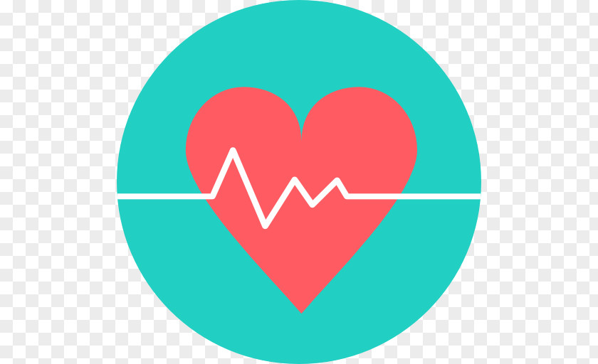 Heart Rate Electrocardiography Pulse PNG