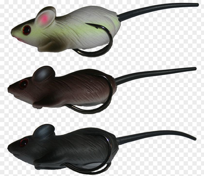Mouse Amphibian Technology PNG