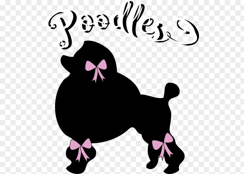 Poodle Standard Puppy Cat PNG
