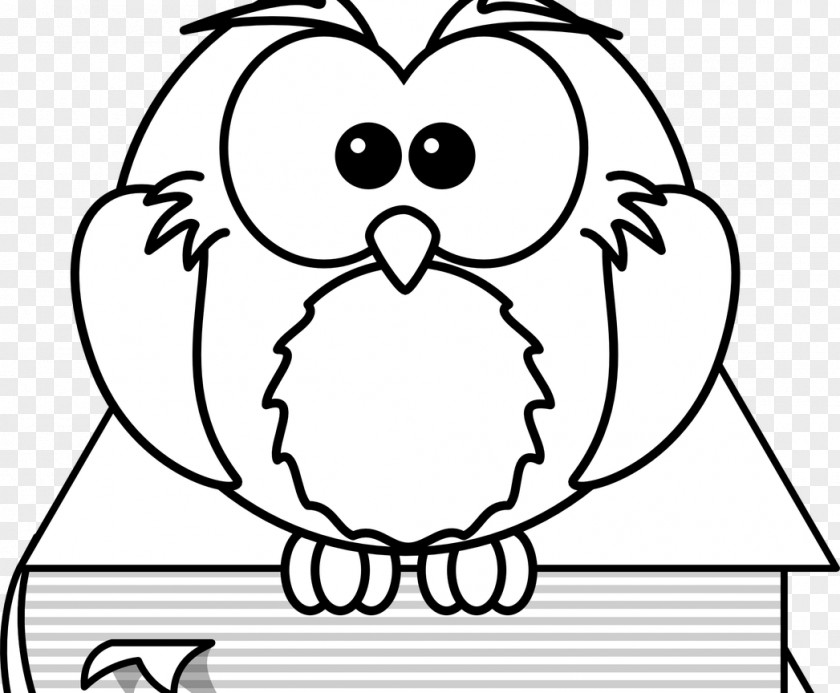 Porcupine Coloring Pages Pusheen Book Drawing Draw Birds PNG