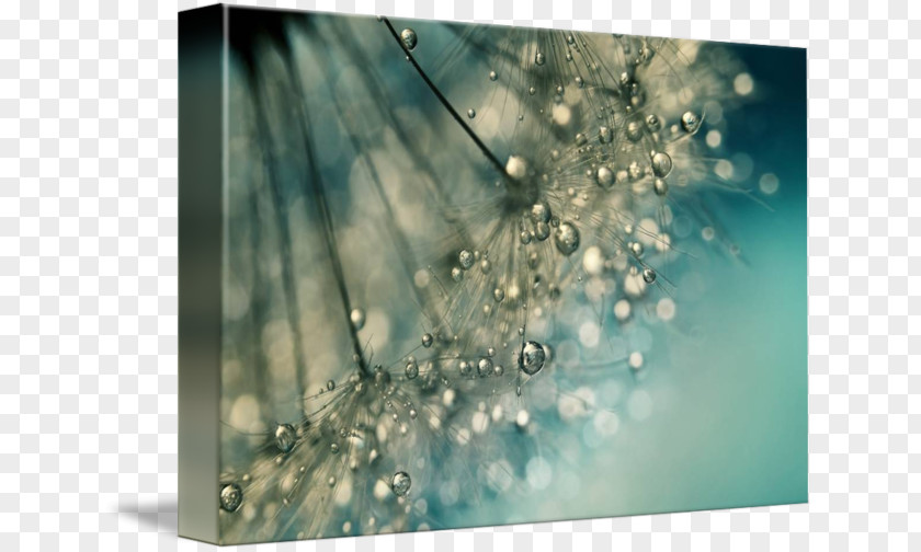 Water Canvas Print Gallery Wrap Giclée Teal PNG
