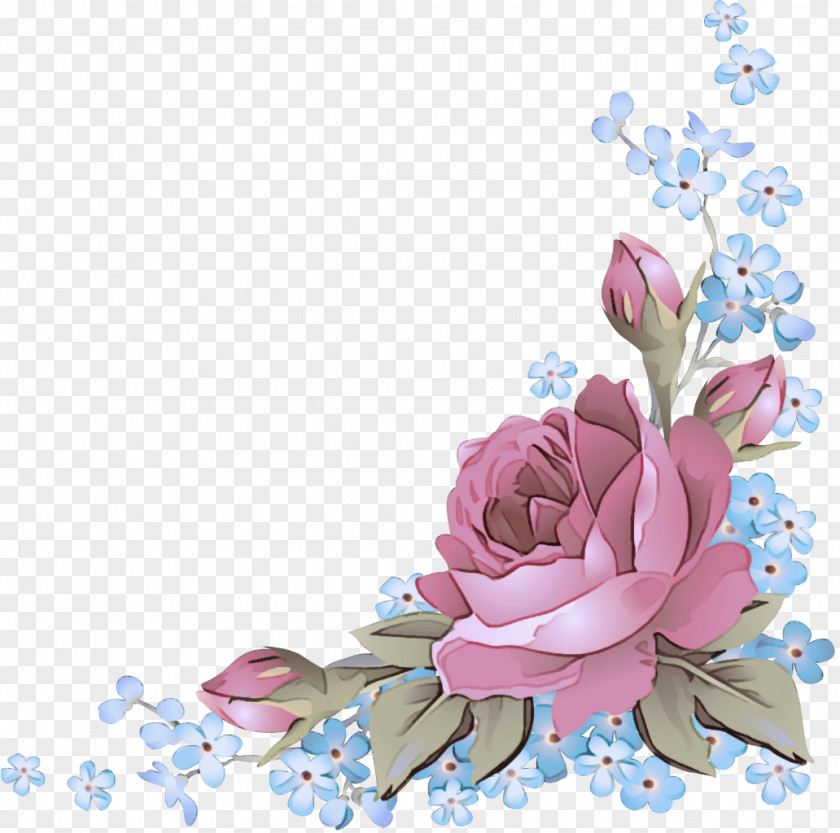 Cut Flowers Blossom Flower Pink Plant Petal Magnolia PNG