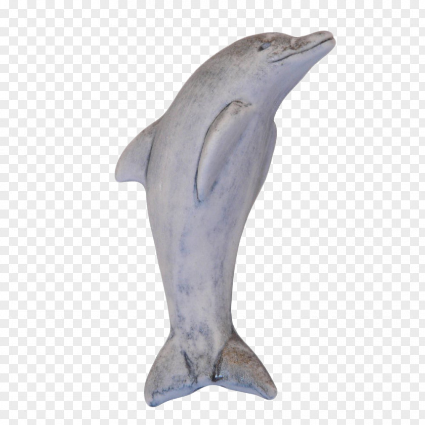 Dolphin Common Bottlenose Tucuxi Short-beaked PNG