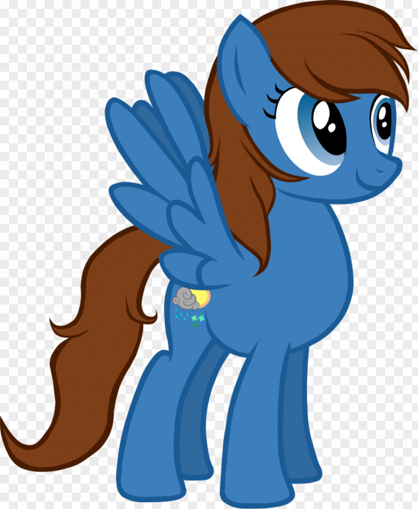 Puddle Rainbow Dash My Little Pony Television Pegasus PNG