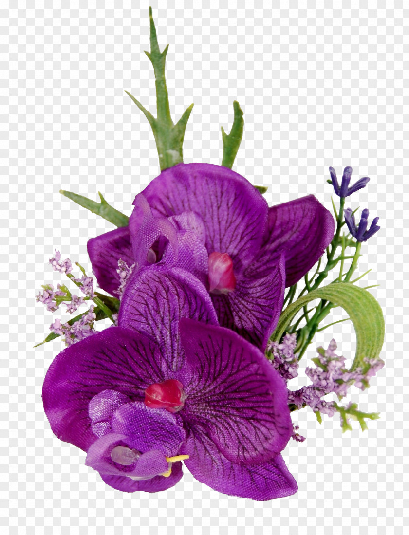 Purple Orchid Buttonhole Moth Orchids Cut Flowers Floral Design PNG