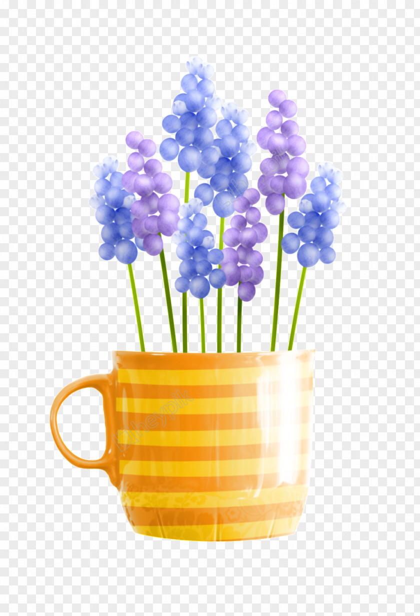 Delphinium Flowerpot Flowers Background PNG