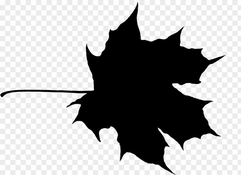 Maple Leaf Canada PNG