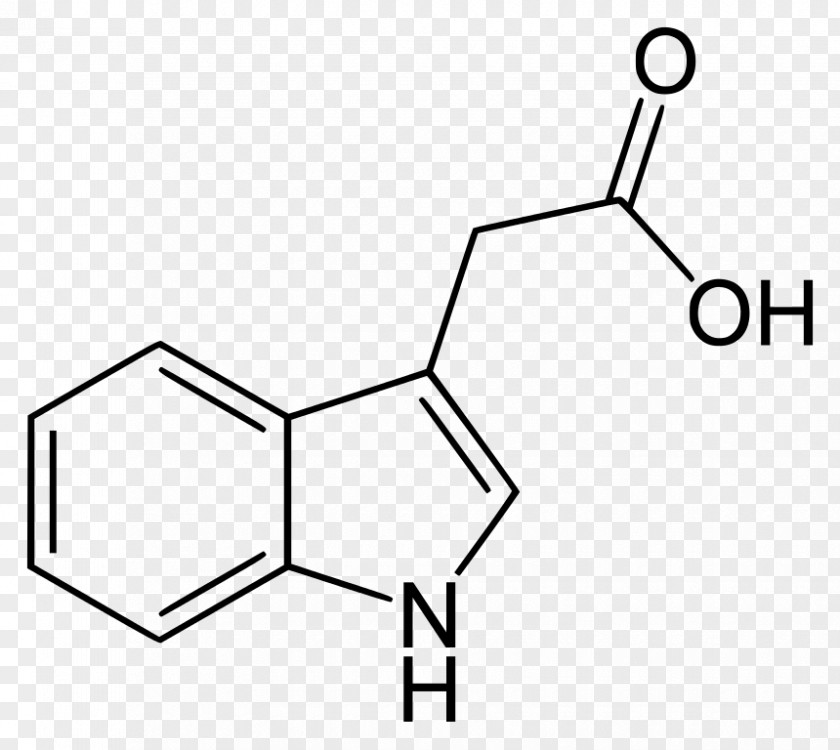 Plant Indole-3-acetic Acid Indole-3-butyric Auxin Hormone PNG