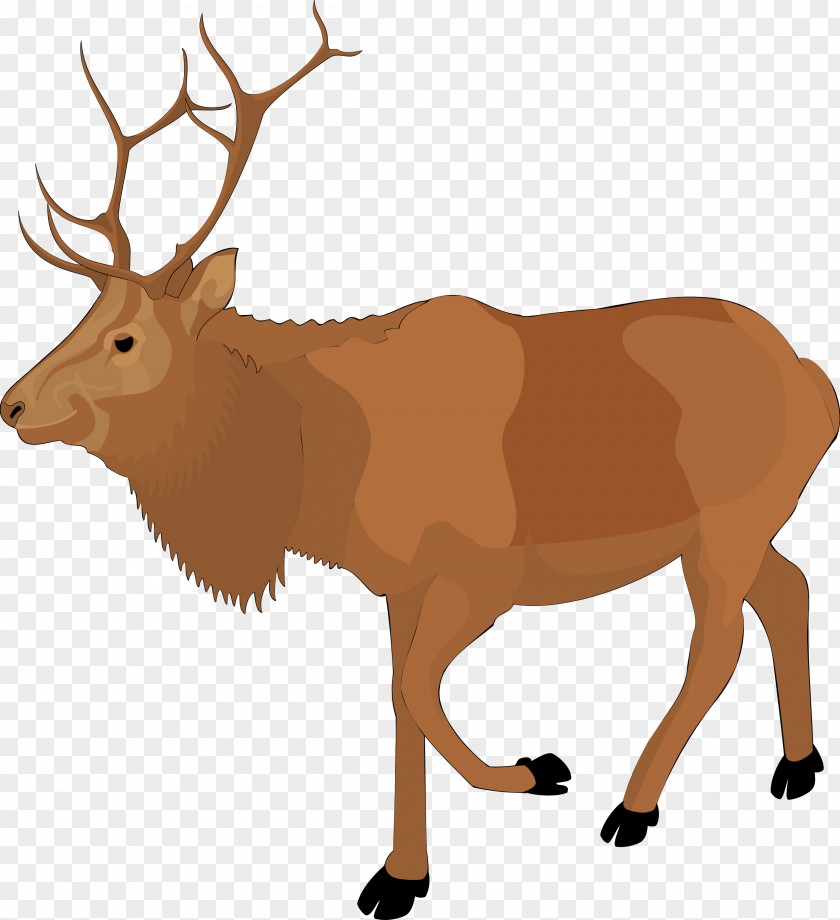 Raindeer Images Elk Drawing Clip Art PNG