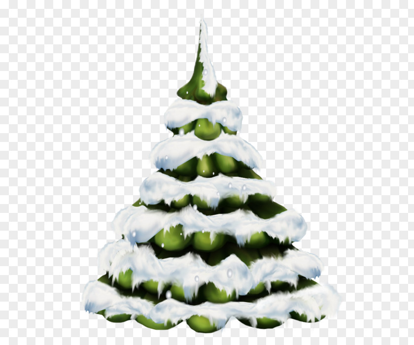 Christmas Tree Pine PNG