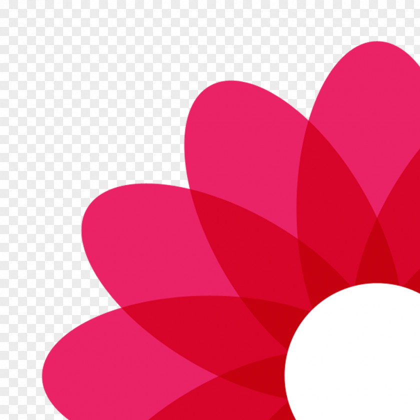 Flower Mobile App Store Moscow Bouquet PNG