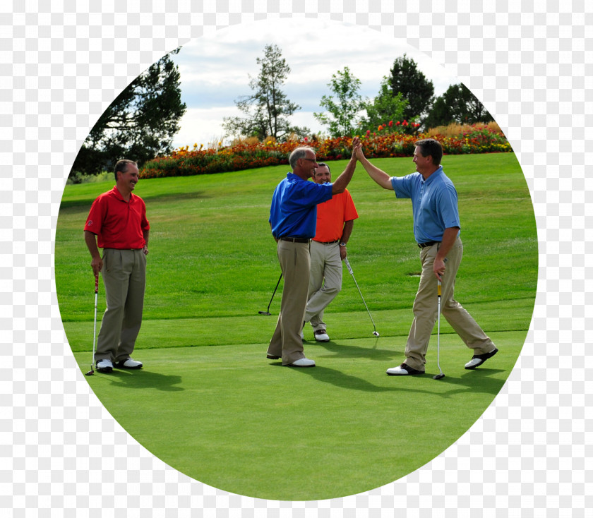 Golf Pitch And Putt Clubs Course Professional Golfer PNG