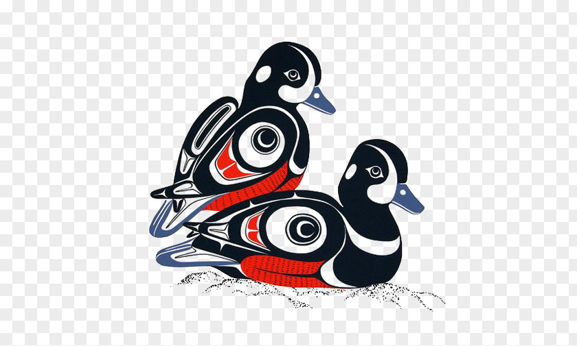 Mandarin Duck Pacific Northwest Coast Art Native Americans In The United States PNG