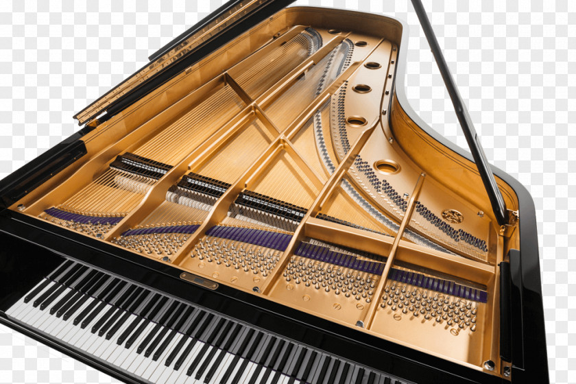Piano Electric Musician String PNG
