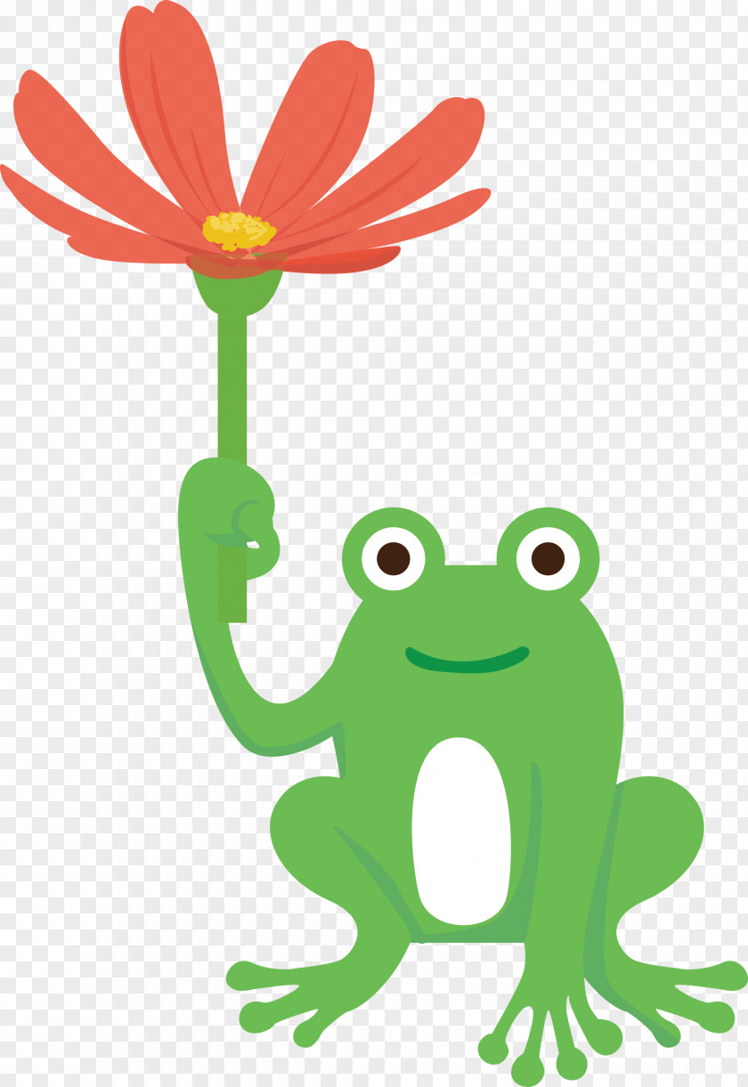 Tree Frog Plant Stem Frogs Flower Cartoon PNG