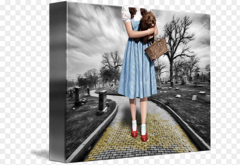 Wizard Oz Dorothy Gale The Of Ruby Slippers PNG