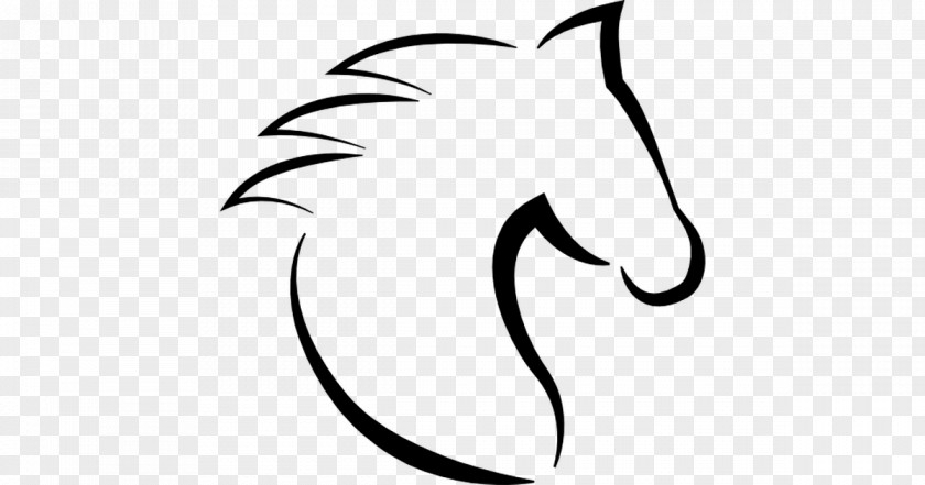 Cat Horse Veterinarian Line Art Clip PNG