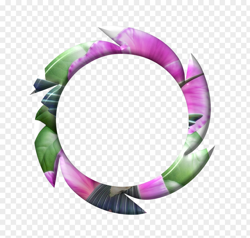 Circle Body Jewellery PNG