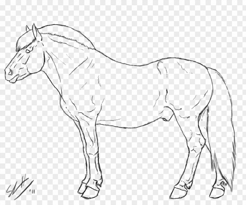 Fjord Horse Line Art Drawing Mule PNG