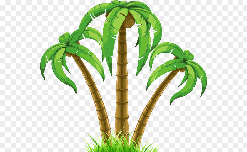 Leaf Swag Clip Art Openclipart Palm Trees Image Free Content PNG