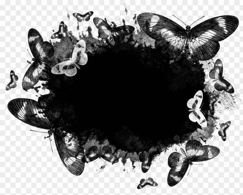 Monochrome Photography Butterfly Cartoon PNG