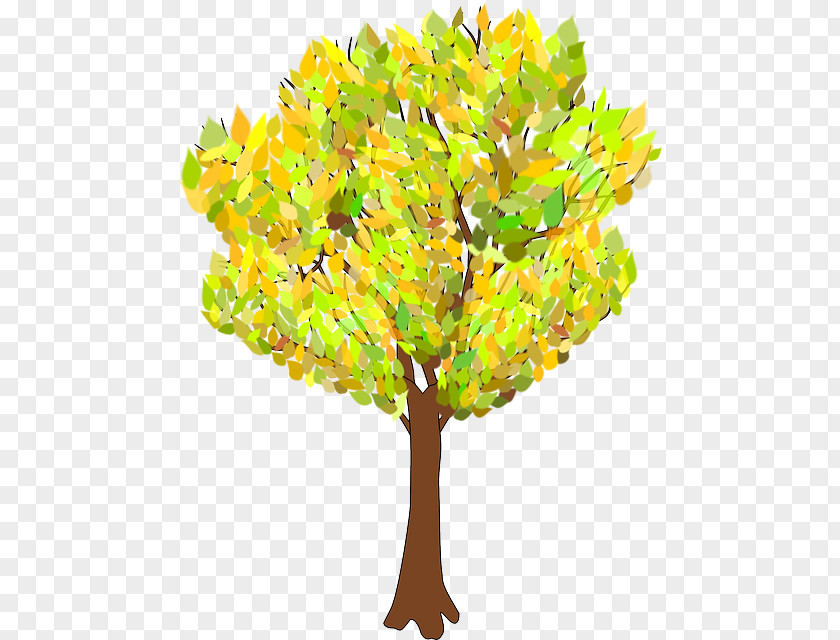 Tree Autumn Branch Clip Art PNG