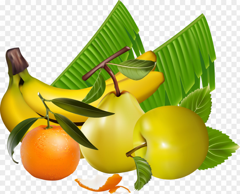 Berries Banana Fruit Food PNG