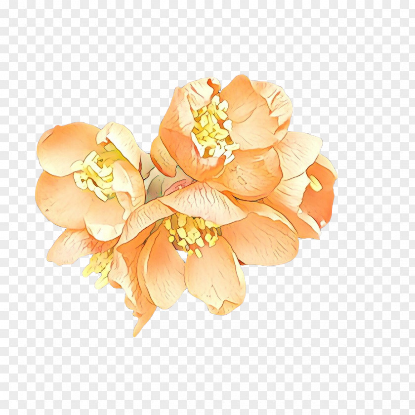 Brooch Cut Flowers Orange PNG