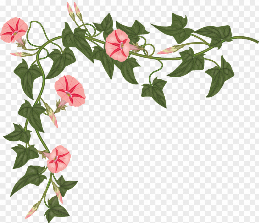 Chinese Corner Floral Design Flower Color Daytime Clip Art PNG