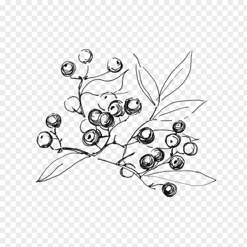 Goji Berries Abziehtattoo Black And White Drawing Illustration PNG