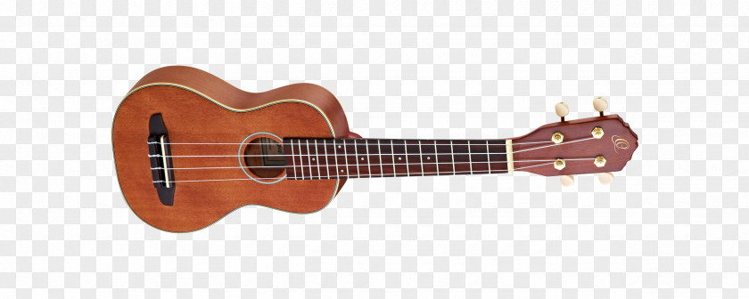 Amancio Ortega Ukulele Musical Instruments Acoustic-electric Guitar Acoustic PNG